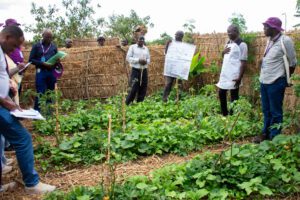 a farmer showing landscape design of his household garden 