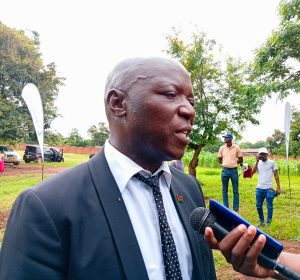 Gareta, we need to shift from just planting trees